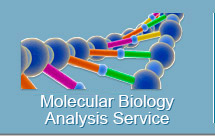 Molecular Biology Analysis Service